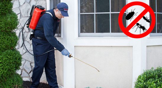 Kent 2 Hamam Böceği İlaçlama böcek ilaçlama ve haşere kontrolü — ilaclama-tr.com
